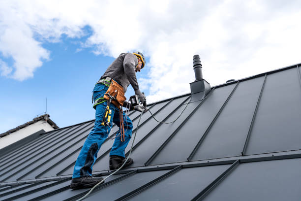 Best Roof Leak Repair  in Terra Alta, WV